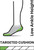 Smartwool Men's Run Targeted Cushion Low Ankle Socks – Black