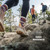 Smartwool Men's Hike Targeted Cushion Mid Crew Socks – Twilight Blue