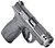 Smith & Wesson PC Bodyguard 2.0 Carry Comp 380 ACP 12rd Pistol, NMS, 3.1" Barrel, Black