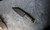 Benchmade Station Knife, 5.97" SS Clip-Point Blade