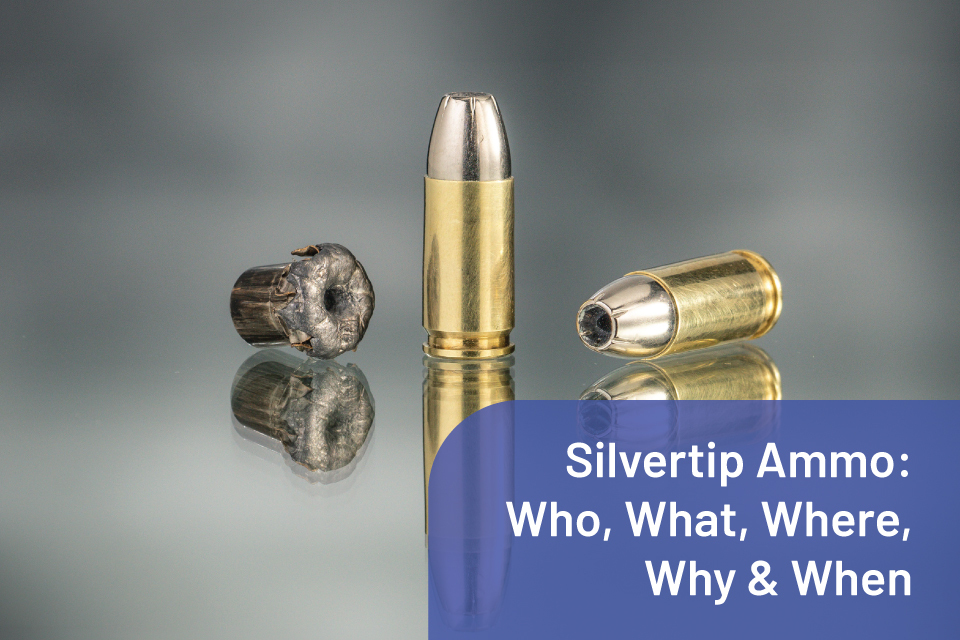 Firearm Suppressors at Bereli