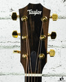 Taylor 224ce-K DLX Shaded Edgeburst, Layered Koa Back and Sides (#4388)