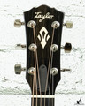 Taylor Gold Label 517e Sunburst Cream Pickguard w/ case (#5031)