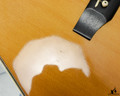 Alvarez 5056 Tree of Life Acoustic