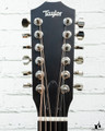 Taylor 354ce Studio Special Edition Honeyburst (#6148)
