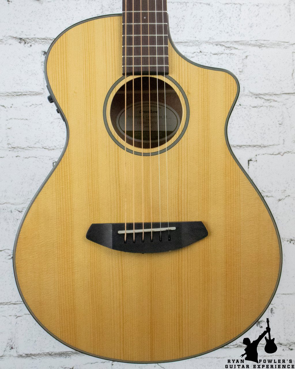Breedlove Discovery Companion CE 