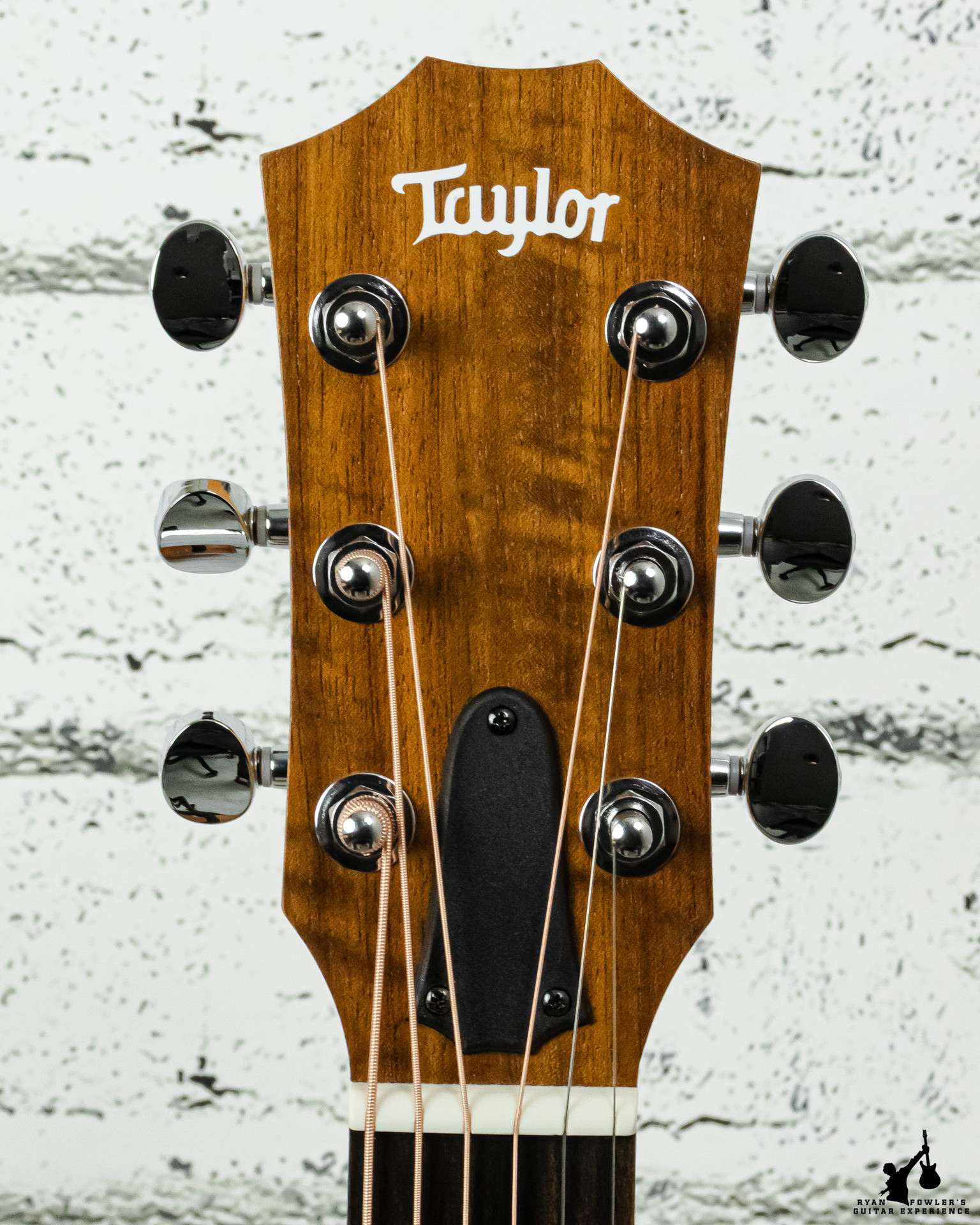 Taylor GS Mini Sapele