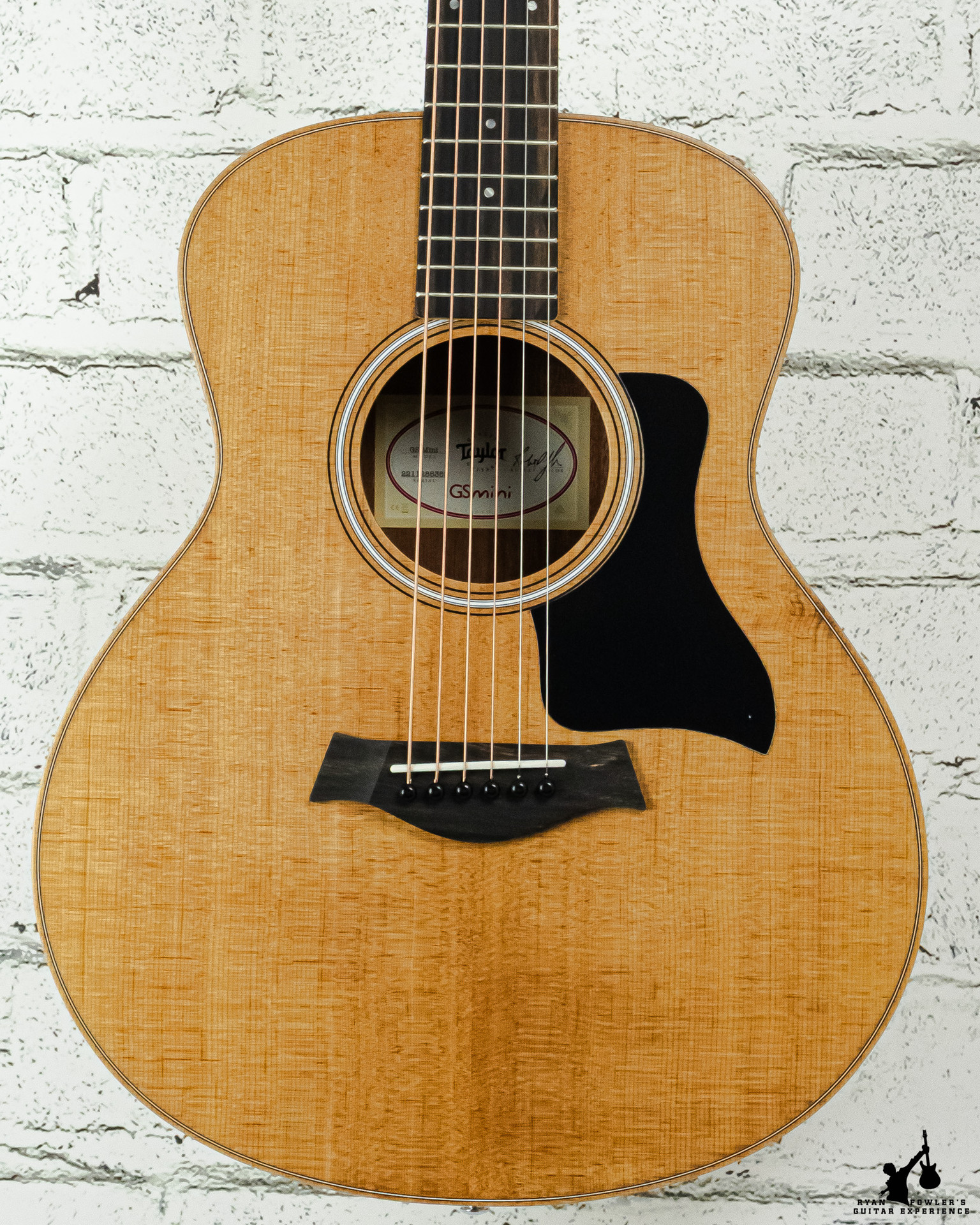Taylor GS Mini Sapele