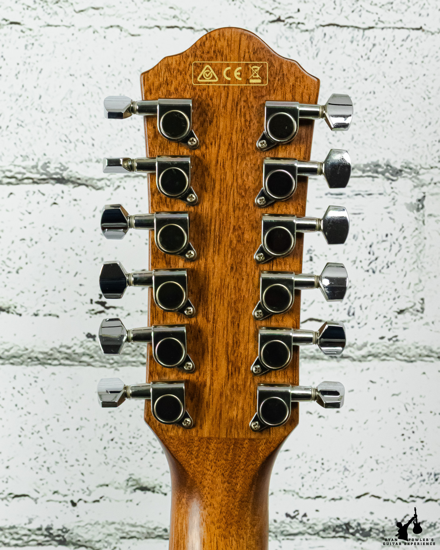 Ibanez AEG5012-DVH 12 String Acoustic Electric