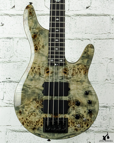 Michael Kelly Pinnacle 4 w/gigbag