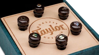 Taylor Bone Bridge Pin Set Brown w/ Abalone 7260-5