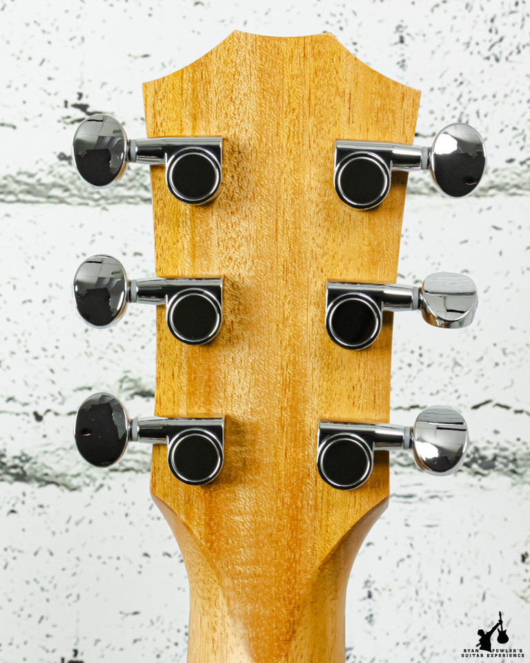 Taylor GS Mini Sapele w/ bag (#5370)