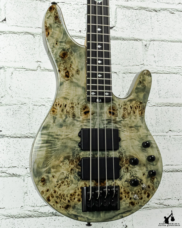 Michael Kelly Pinnacle 4 w/gigbag