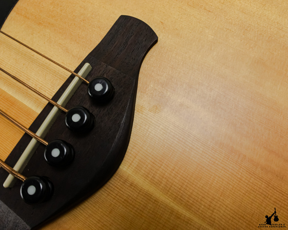 Ibanez AWB 50CE Acoustic Bass w/ Bag