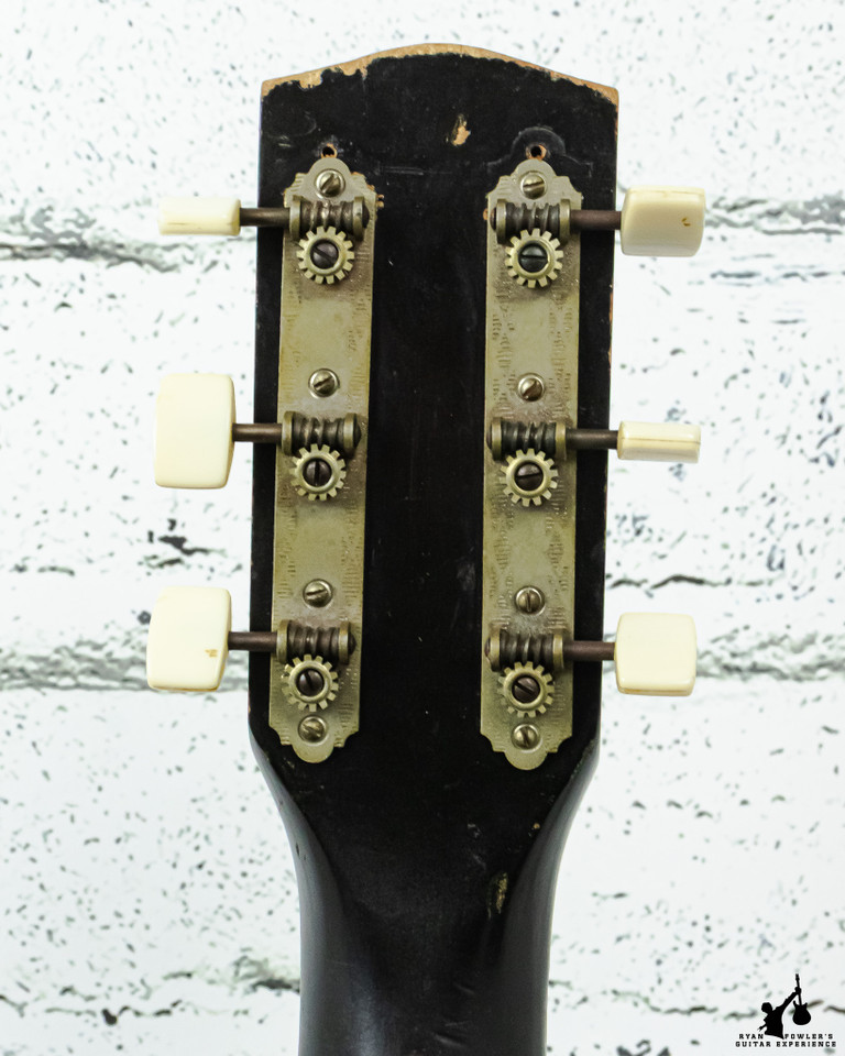 Regal R-205 Acoustic 1963-1966