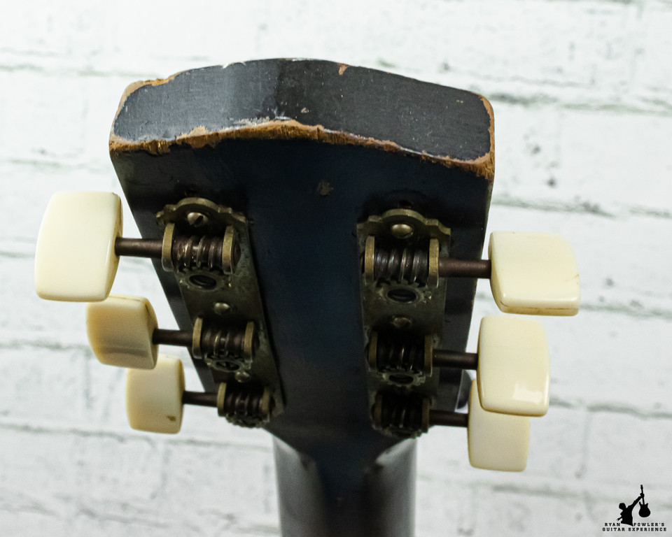 Regal R-205 Acoustic 1963-1966