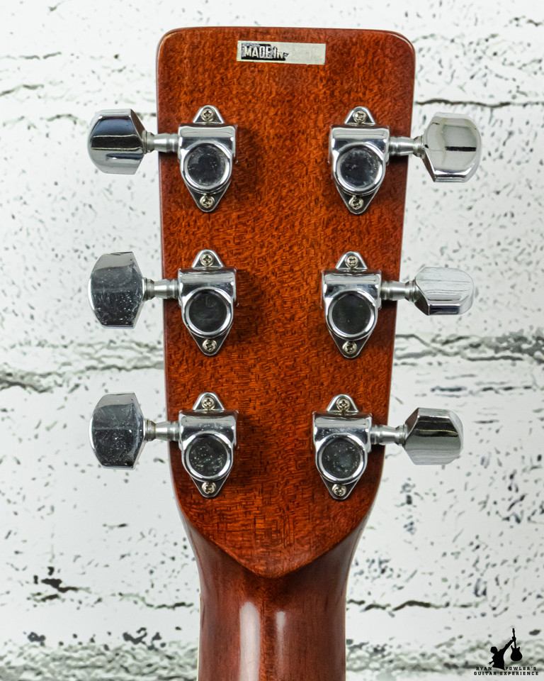 Alvarez 5056 Tree of Life Acoustic