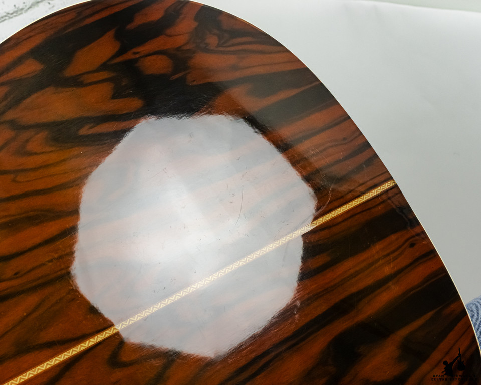 Alvarez 5056 Tree of Life Acoustic