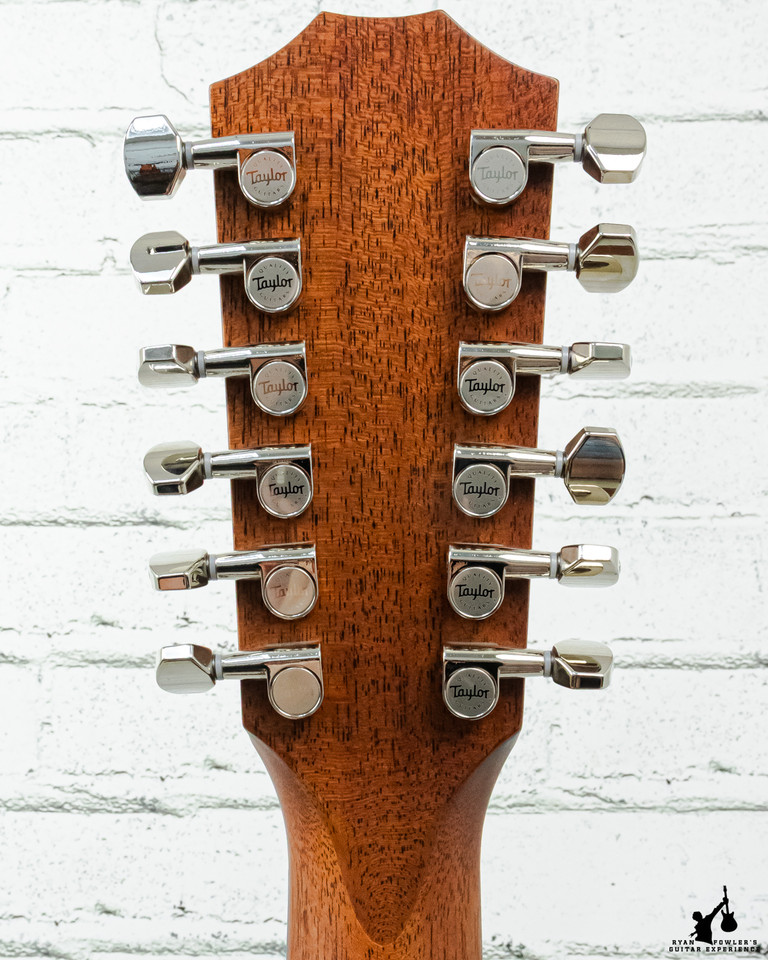 Taylor 254ce Plus 12-String W / Gigbag