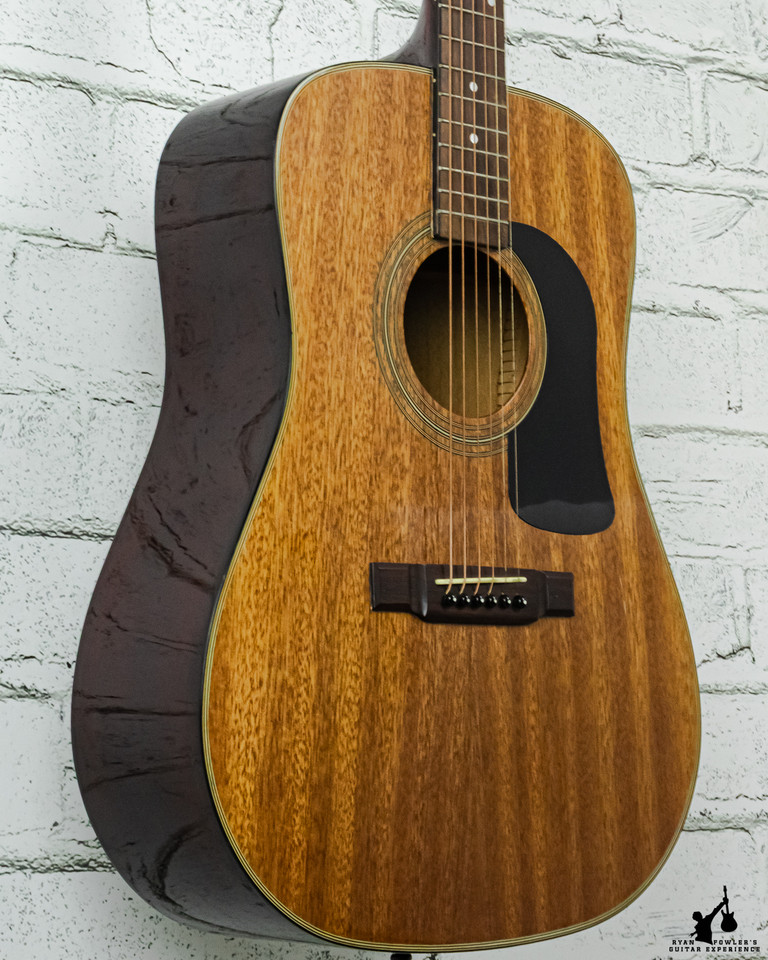 Washburn D10M Acoustic Guitar