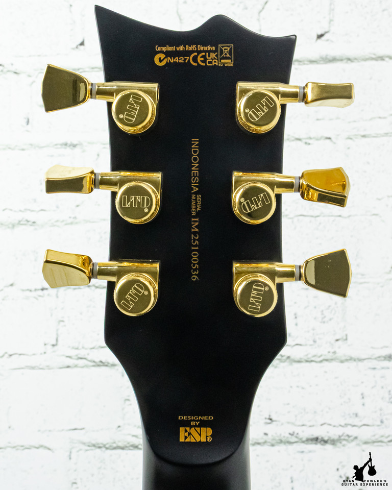 ESP LTD EC-1000 Electric Guitar Vintage Black