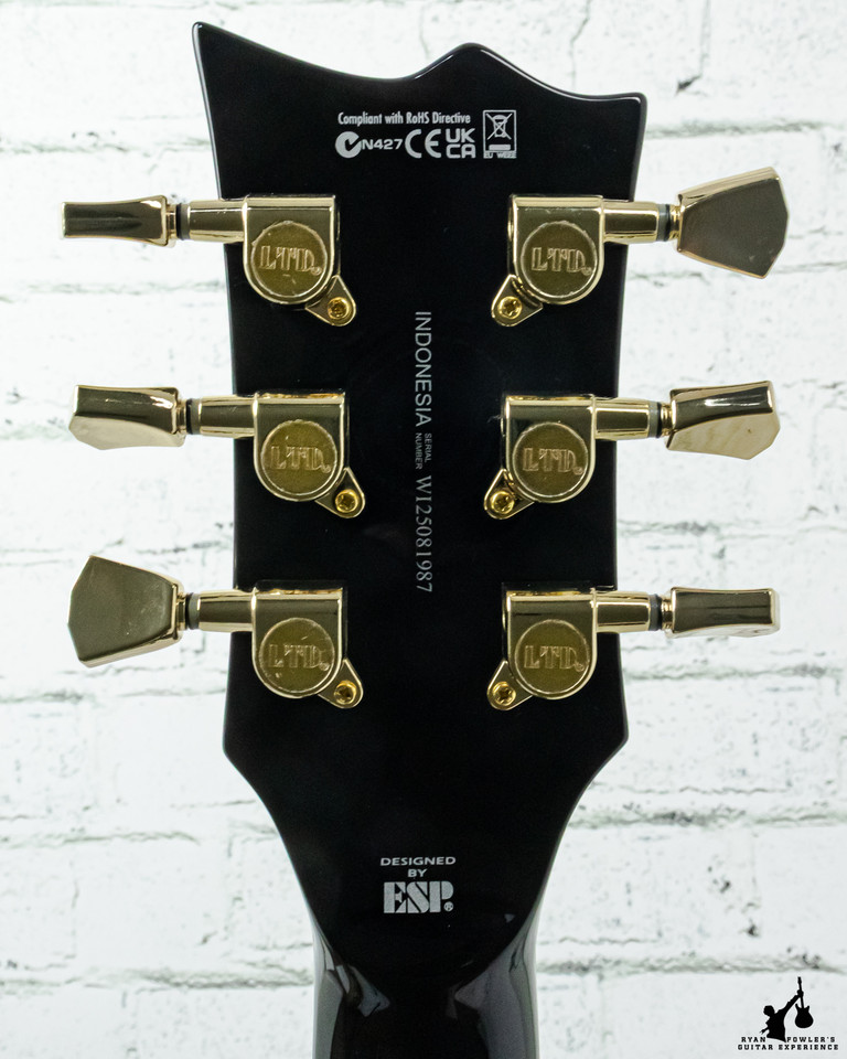 ESP LTD Eclipse EC-256 Electric Guitar - Black