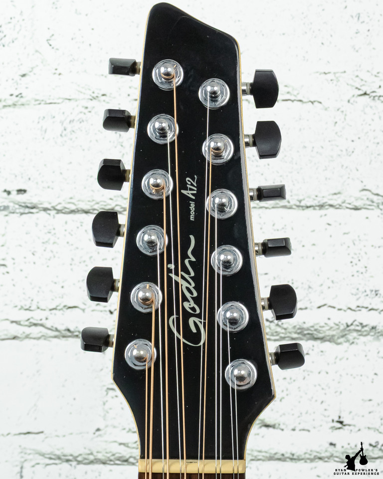 Godin A12 12 String Black w/ Bag