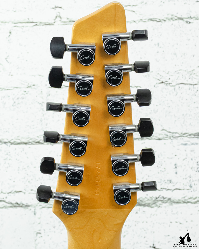 Godin A12 12 String Black w/ Bag