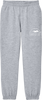 AQD-DT6112Y-HTV-LT-GRY: Youth Light Heather Grey Fleece Sweatpant