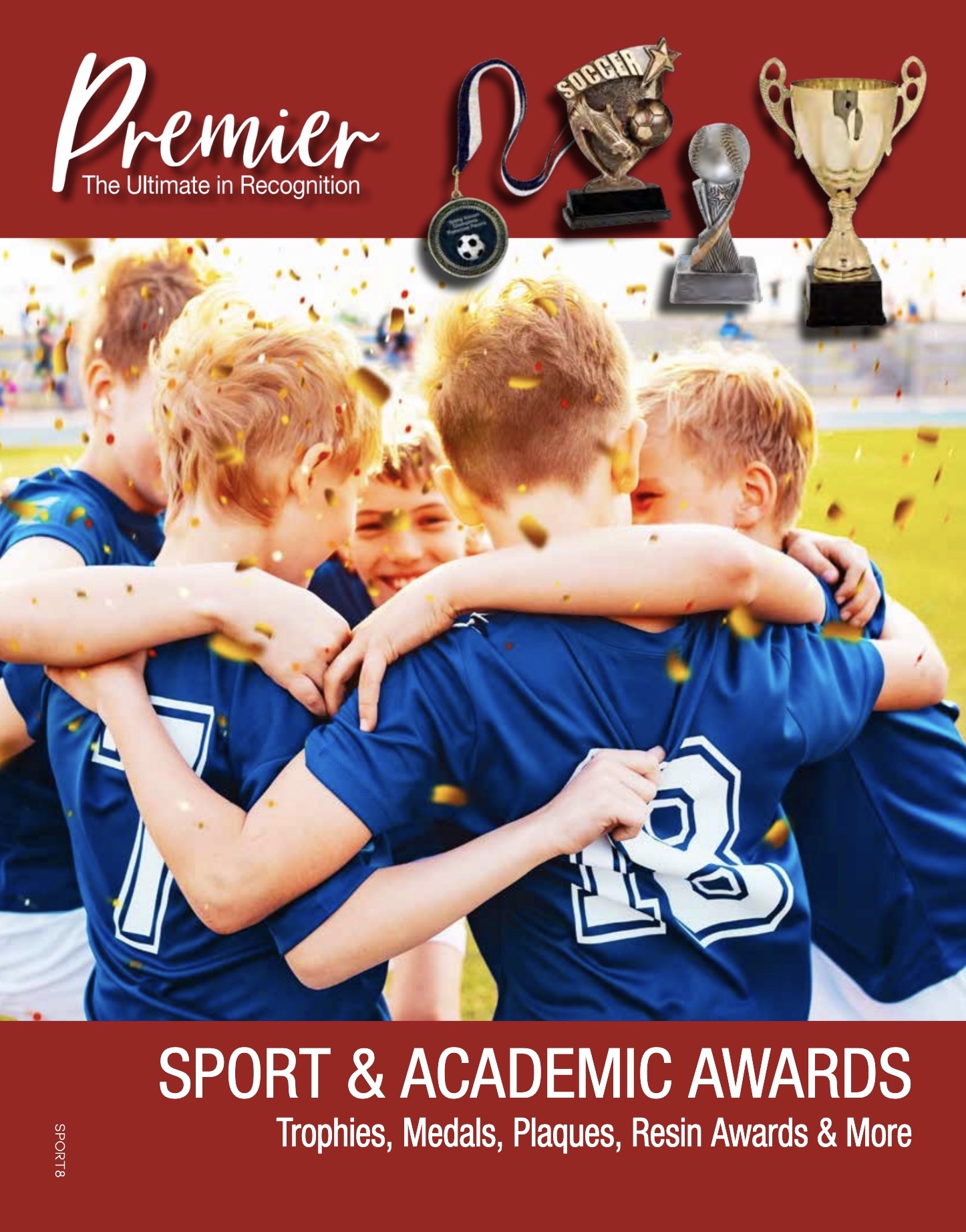 sports-academic-cat-cover.jpg