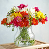 Easy Growing Garden Flowers product image