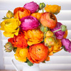 Easy Growing Garden Flowers product image