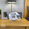 Personalized Name and Jersey Number Metal Sports Ball Sign product image
