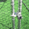 Large Walk-in Chicken Coop product image