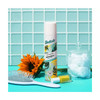 Batiste® Dry Shampoo Variety Pack, 6.7 oz. (8-Pack) product image