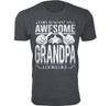 Men’s Awesome Dad and Grandpa T-Shirts product image