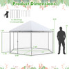 Large Walk-in Heavy-Duty Chicken Coop product image