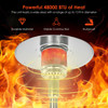 Costway 48000 BTU Stainless Steel Propane Patio Heater product image