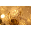iMounTEK® Rose Flower String Lights (2-Pack) product image