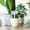 Humorous House Plant Stake (5-Pack) product image