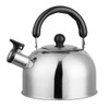 NewAge™ 2.1-Quart Stainless Steel Tea Kettle product image