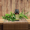 100% Pure Therapeutic Grade Aromatherapy Oil  product image