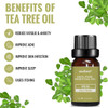 100% Pure Therapeutic Grade Aromatherapy Oil  product image