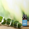 100% Pure Therapeutic Grade Aromatherapy Oil  product image