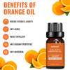 100% Pure Therapeutic Grade Aromatherapy Oil  product image