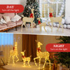 3-Pieces Lighted Family Deer Set  product image