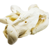 The Treat Shack Large White Cow Ear with Base Dog Treat (5 to 15-Count) product image