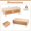 Mid-Century Rattan Coffee Table with 2 Storage Drawers  product image