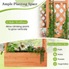 Wooden Raised Garden Bed with Trellis (1- or 2-Pack) product image