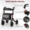 Folding Walker with 9" Pneumatic Tires and Adjustable Handle Height product image